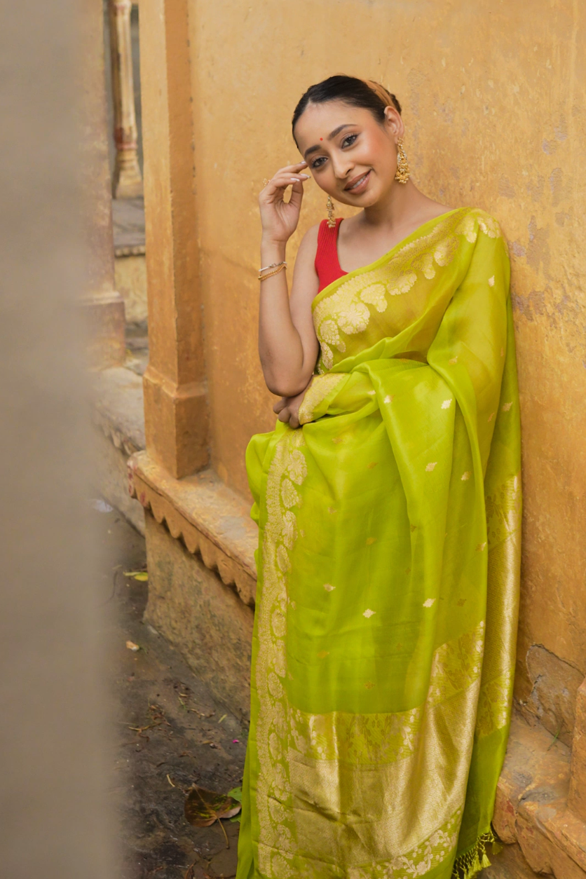 Banarasi Kora Organza Silk Saree