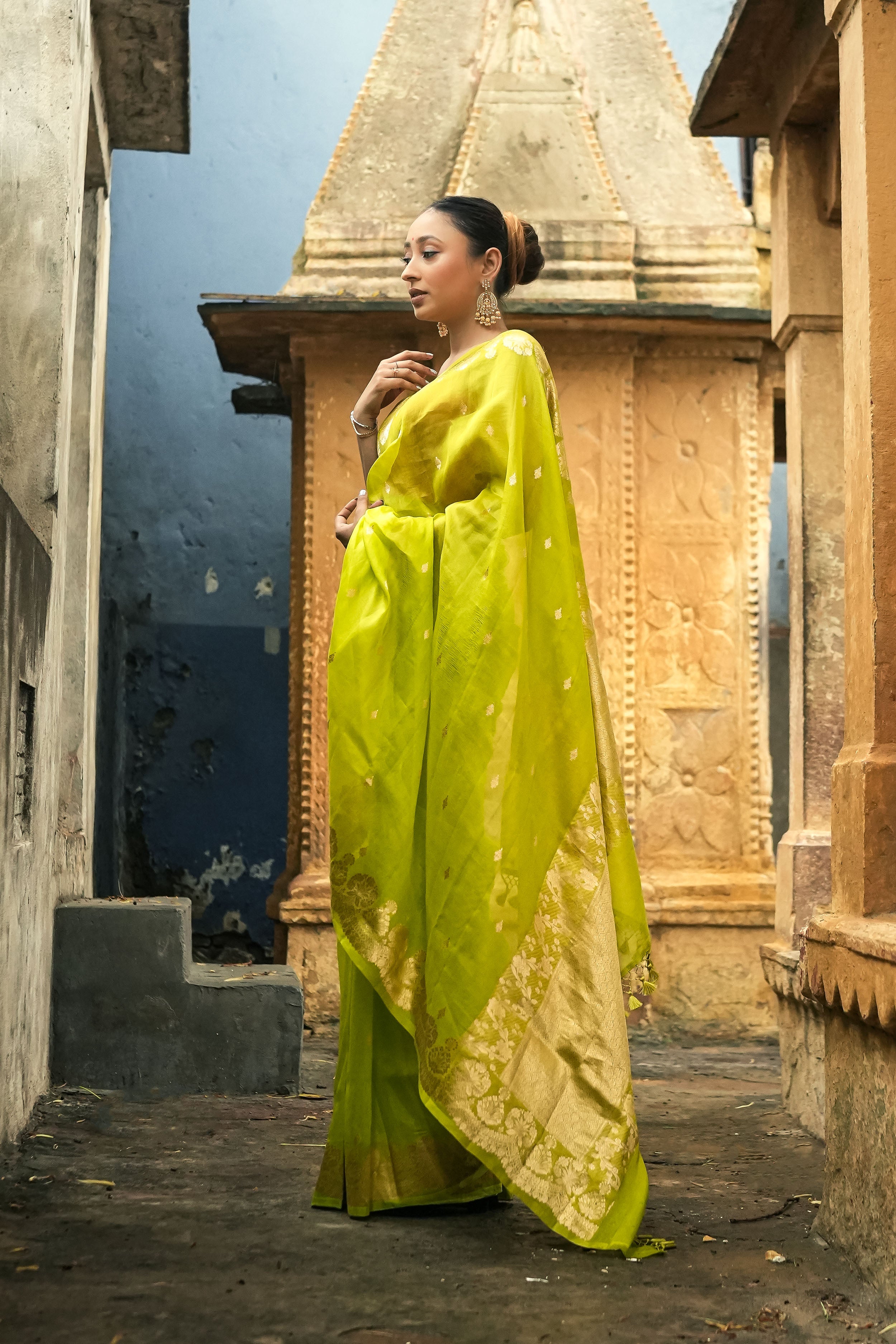 Banarasi Kora Organza Silk Saree