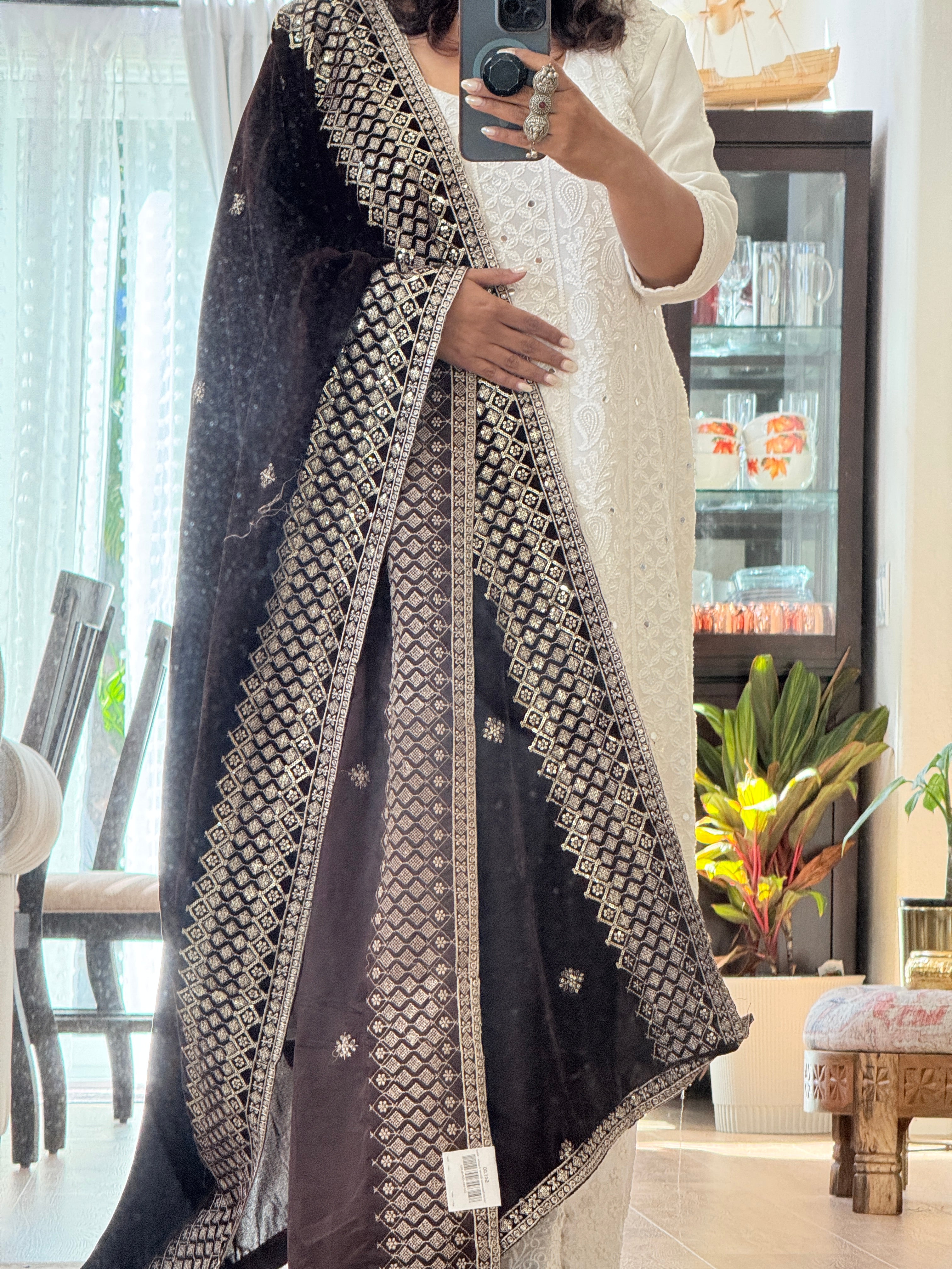 Velvet Sequence Border dupatta - dark brown