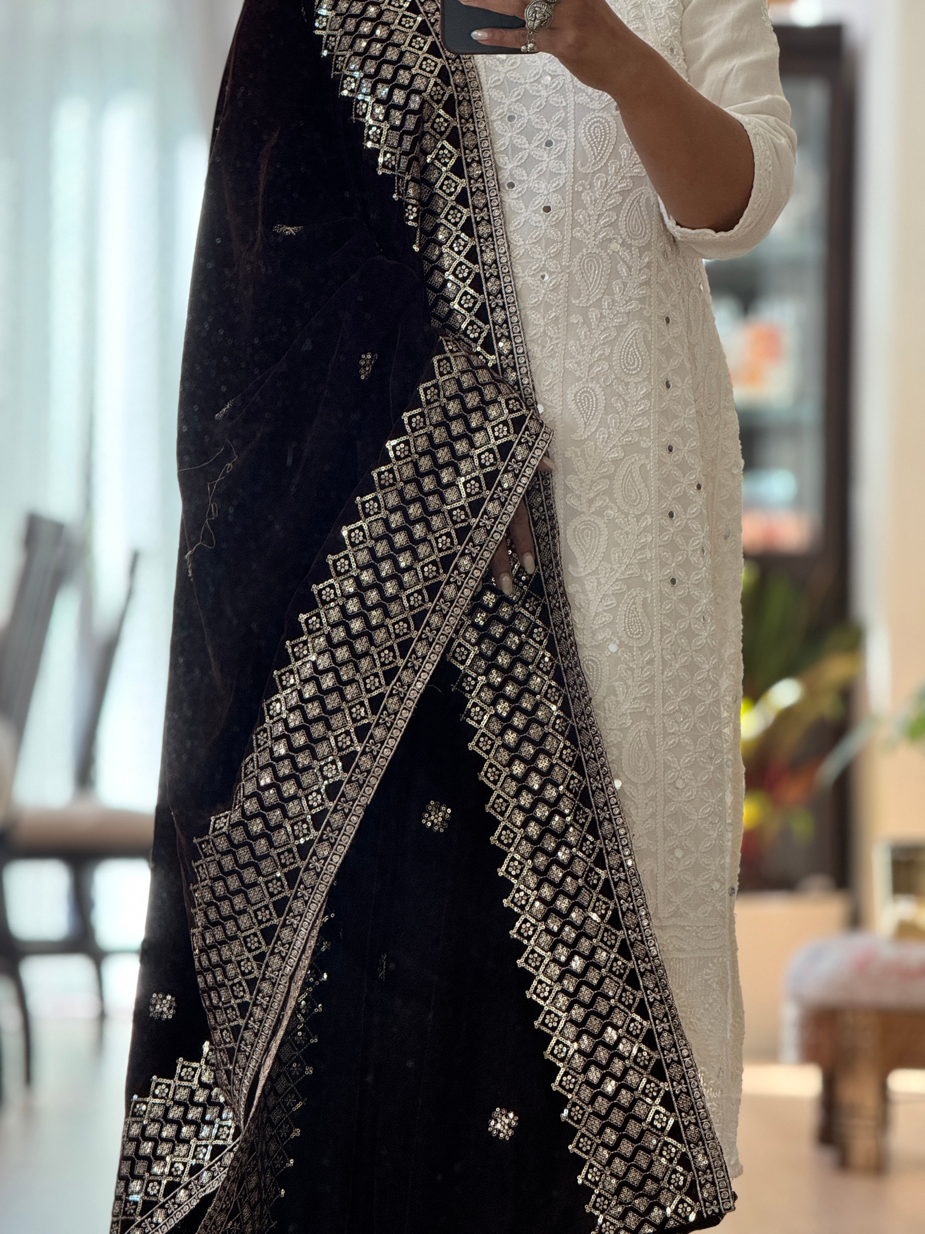 Velvet Sequence Border dupatta - dark brown