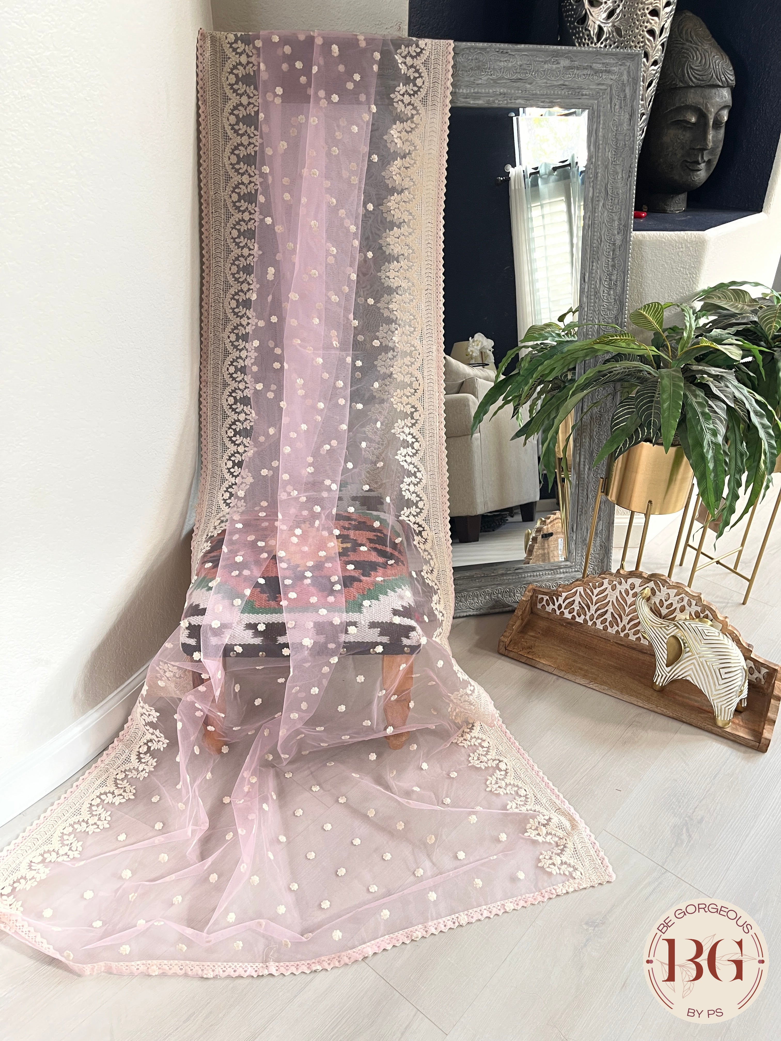 DUPATTA NET CHIKANKARI - 19