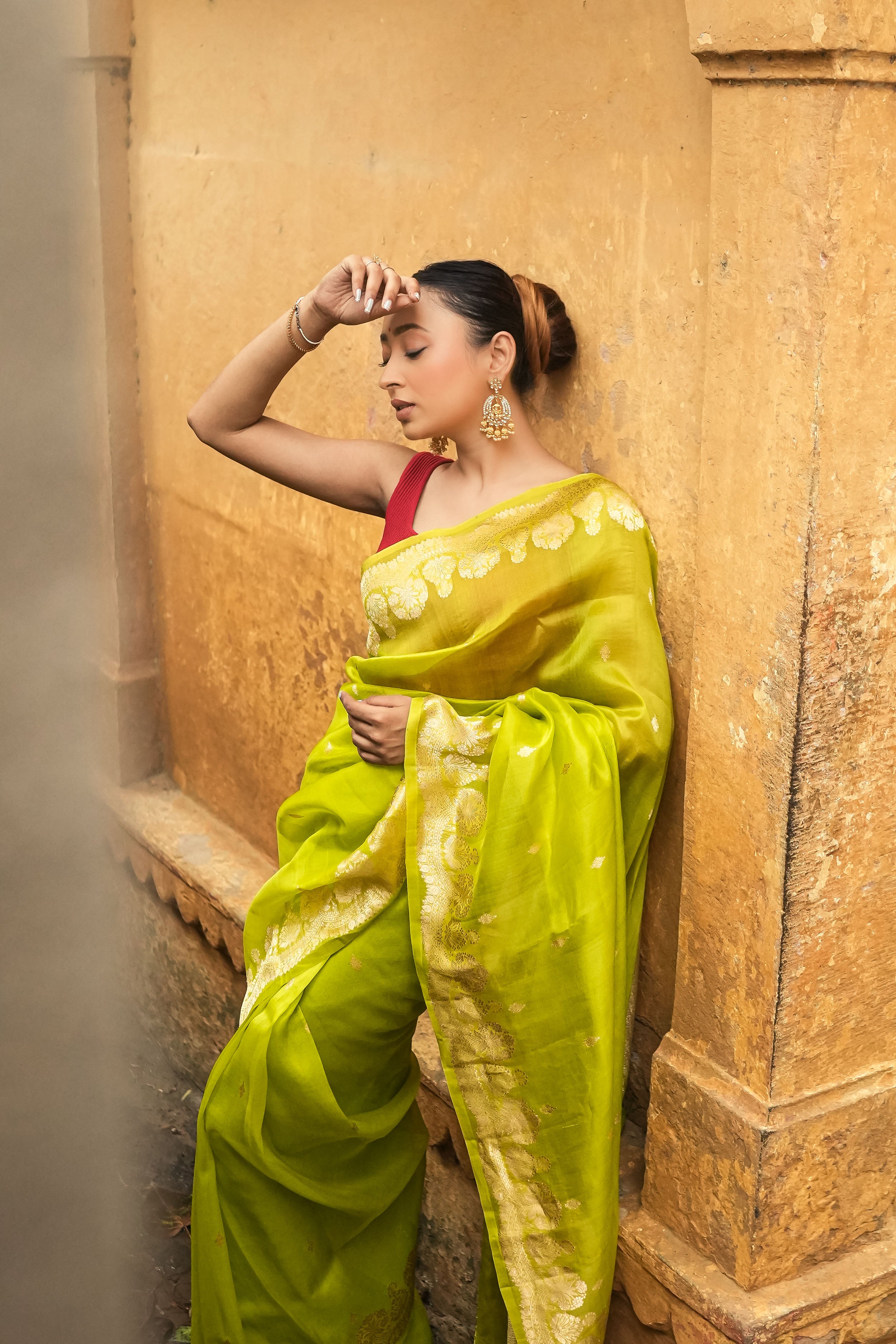 Banarasi Kora Organza Silk Saree