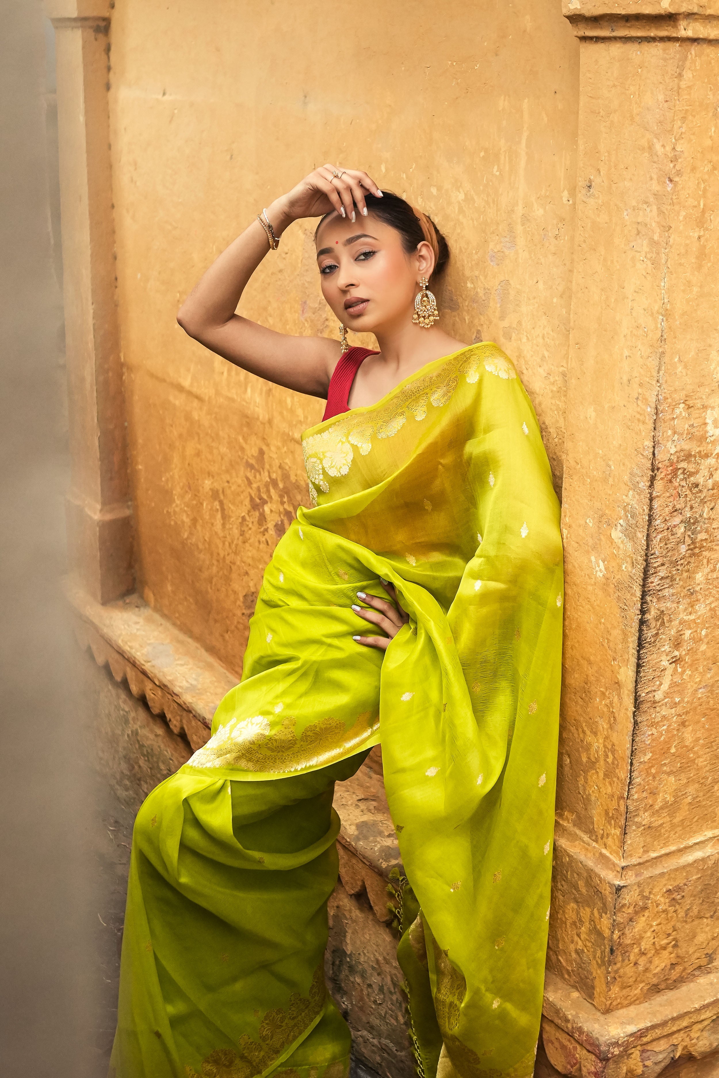 Banarasi Kora Organza Silk Saree
