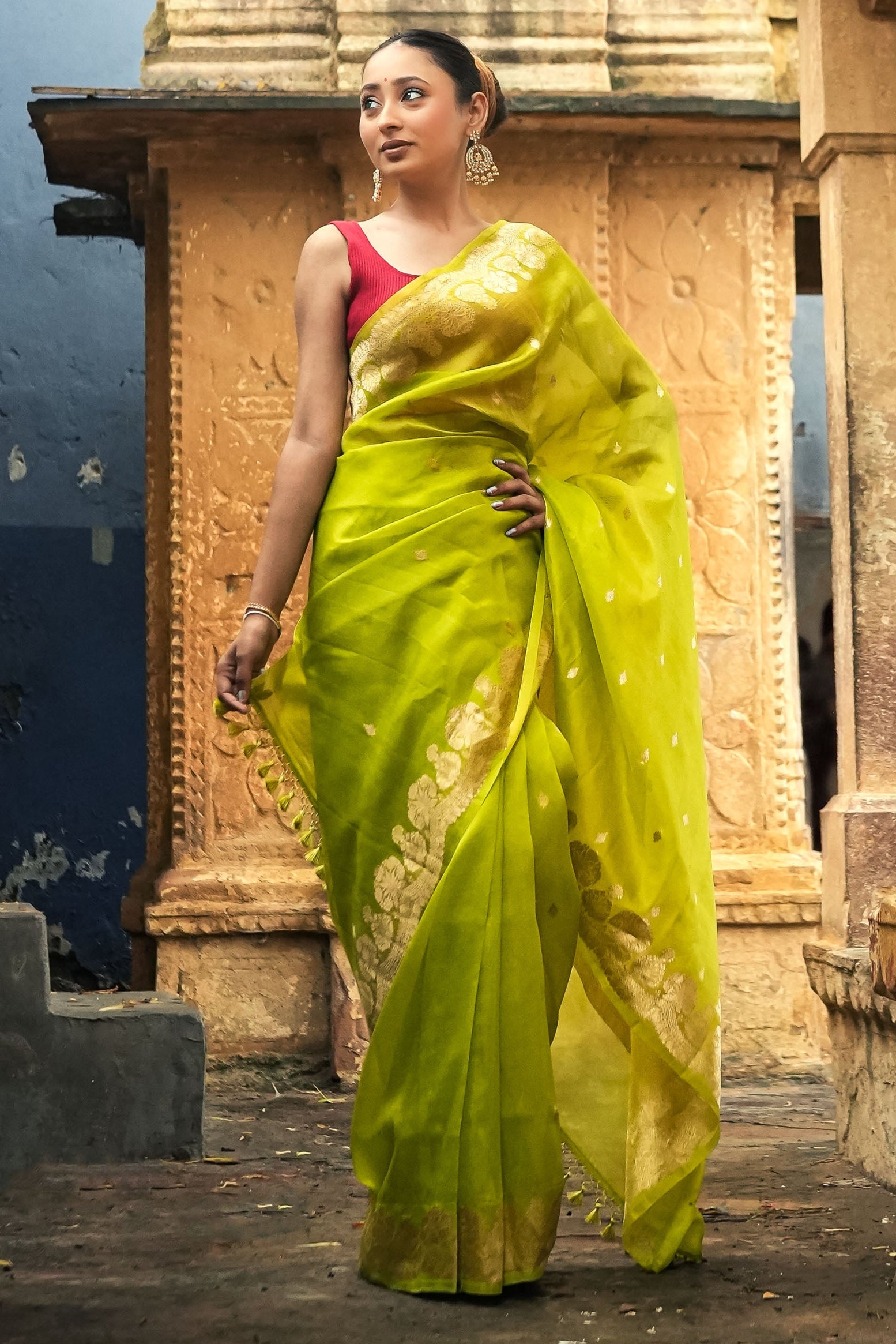 Banarasi Kora Organza Silk Saree