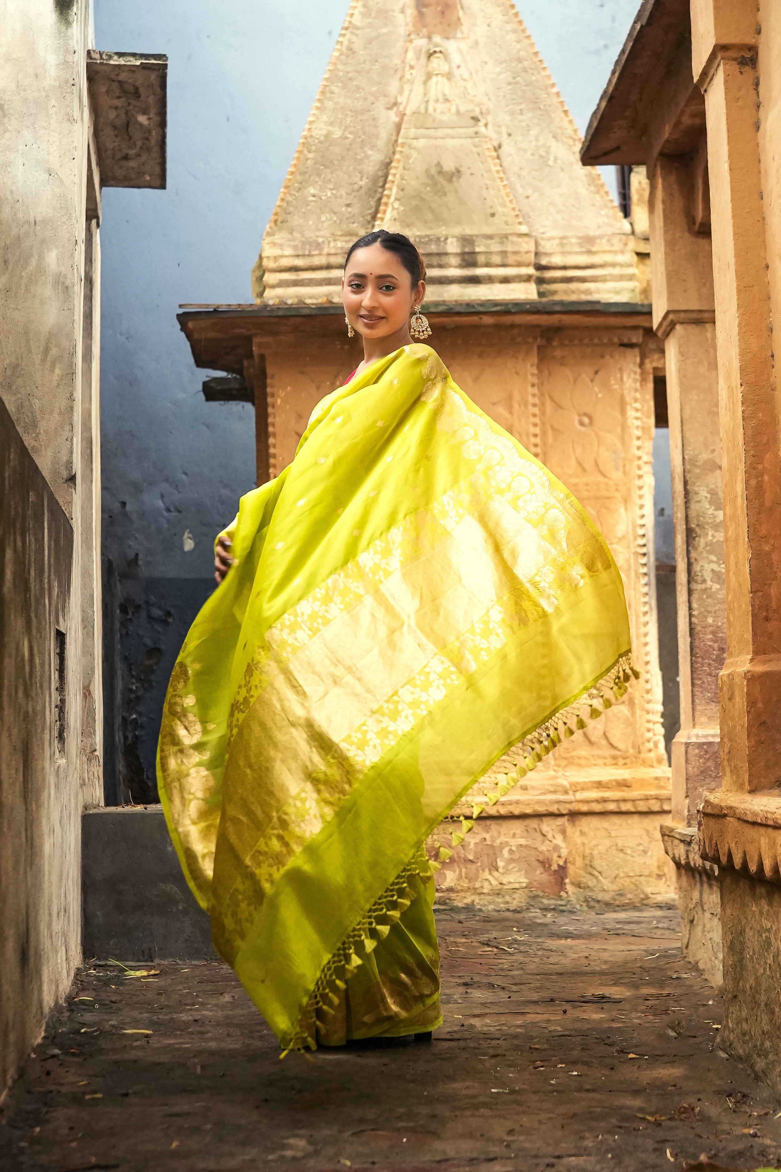 Banarasi Kora Organza Silk Saree