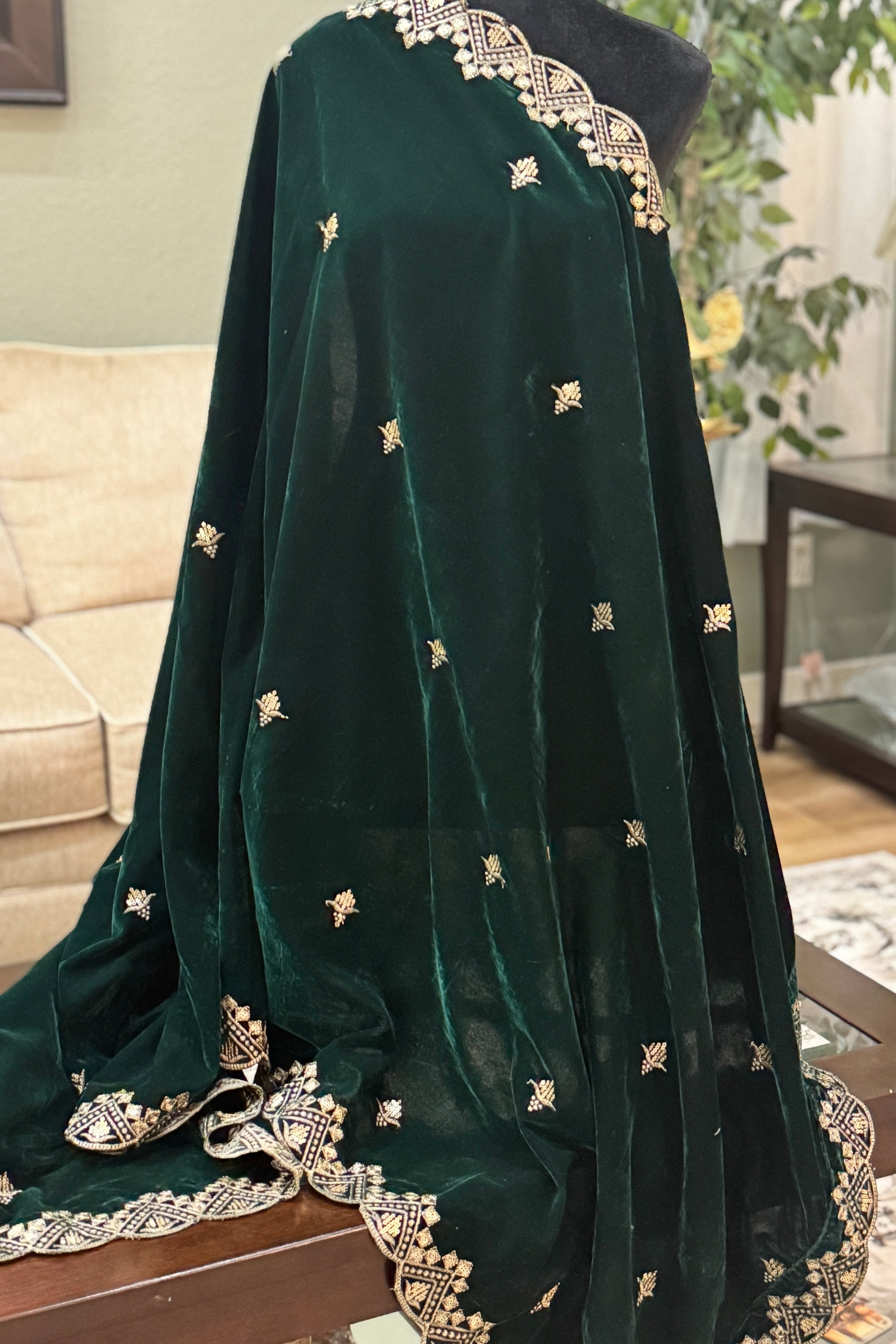 Velvet Sequence Cutwork dupatta - green