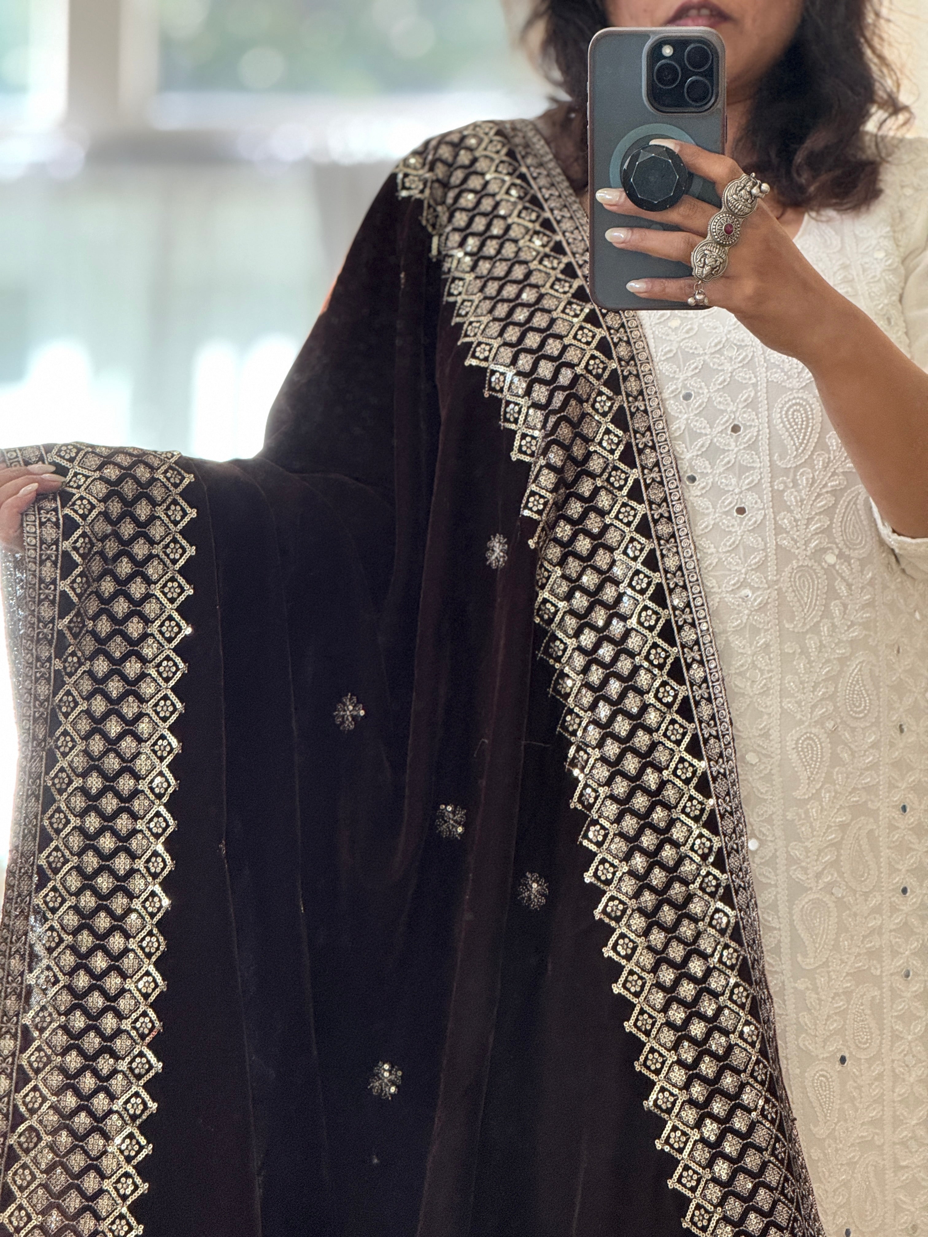Velvet Sequence Border dupatta - dark brown