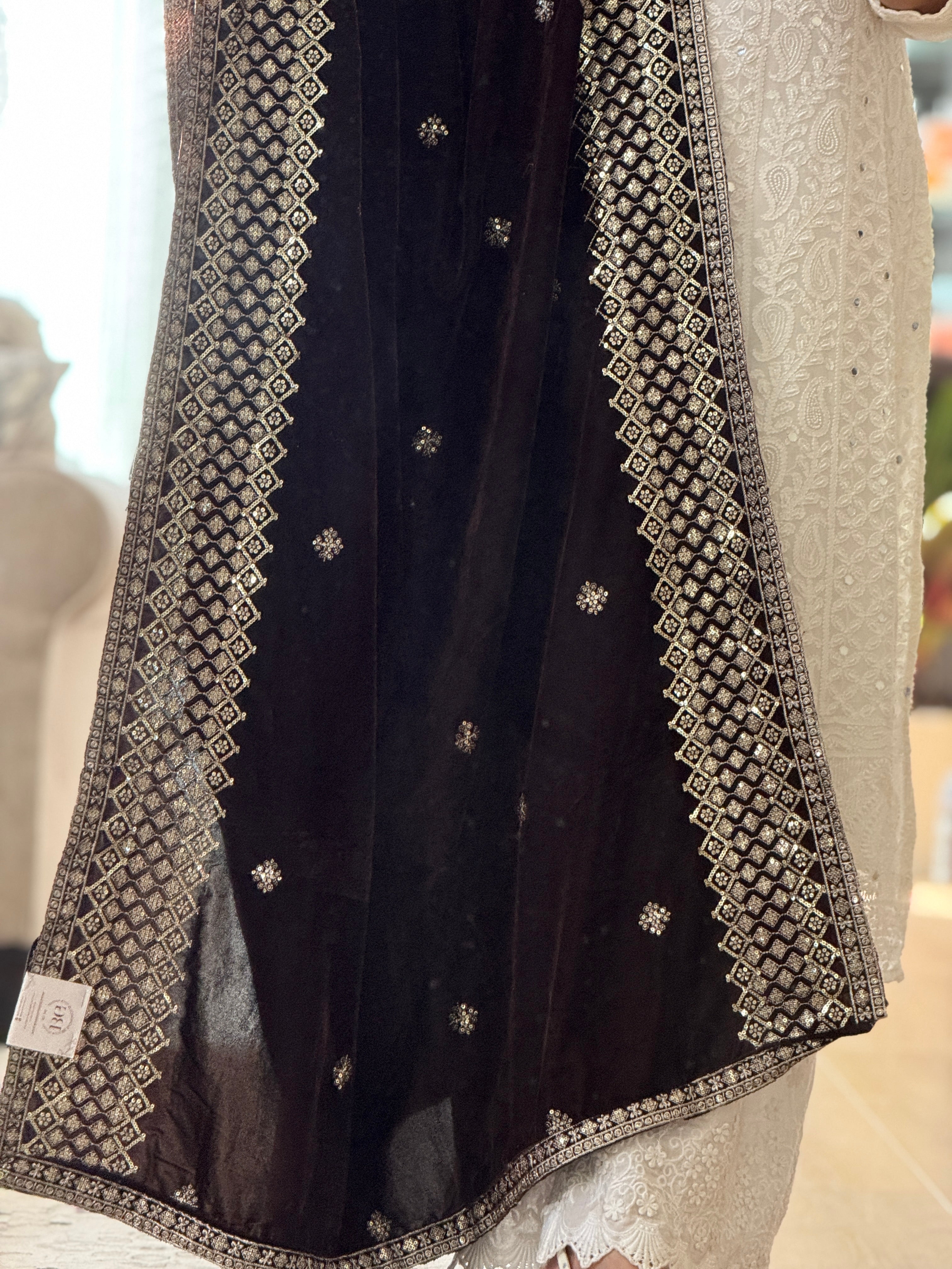 Velvet Sequence Border dupatta - dark brown