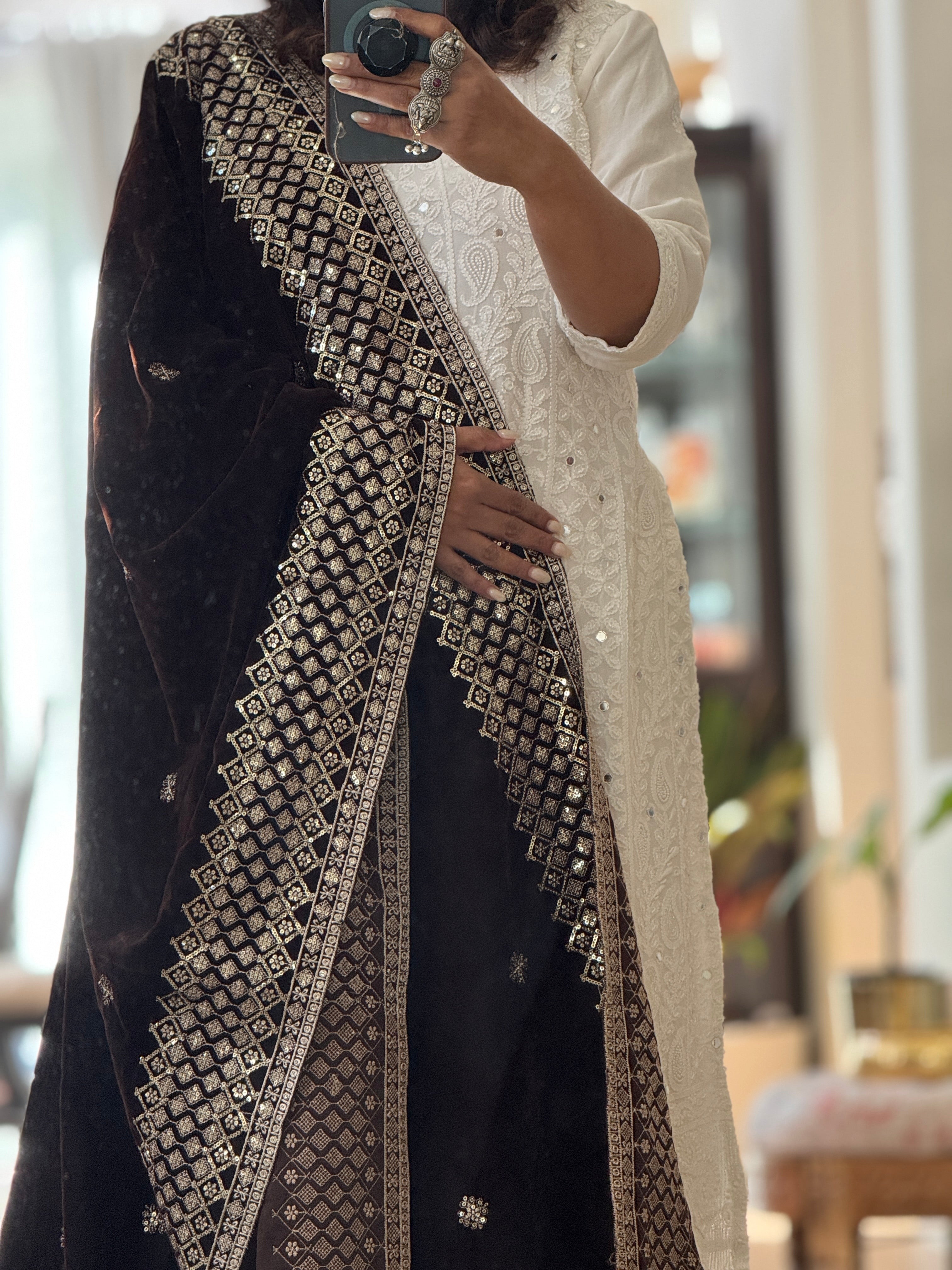 Velvet Sequence Border dupatta - dark brown